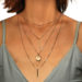 collier morphologie